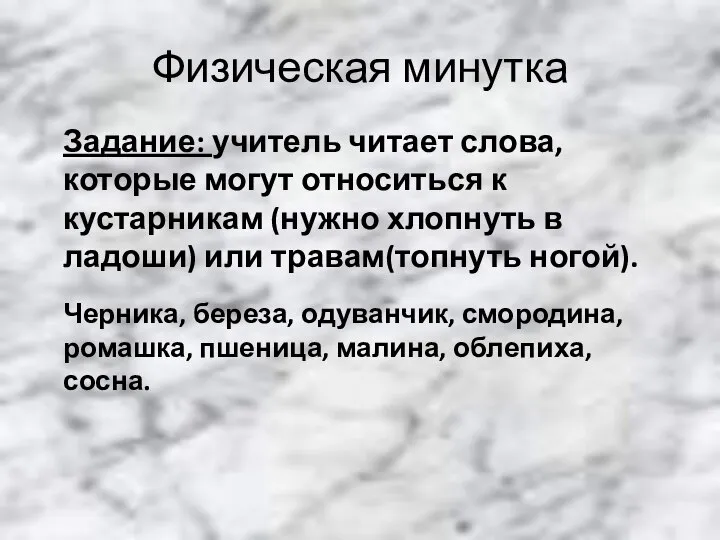 Физическая минутка Задание: учитель читает слова, которые могут относиться к кустарникам (нужно