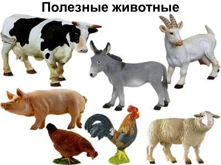 Полезные животные