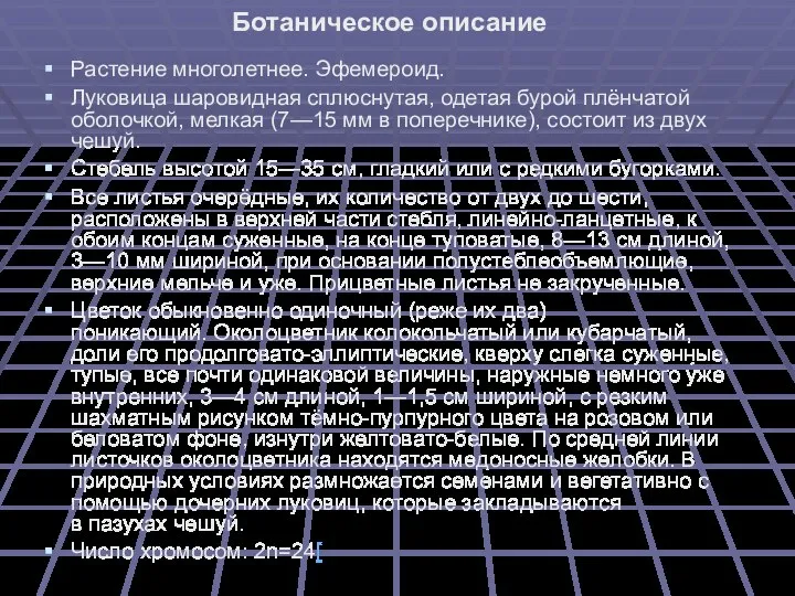 Растение многолетнее. Эфемероид. Луковица шаровидная сплюснутая, одетая бурой плёнчатой оболочкой, мелкая (7—15