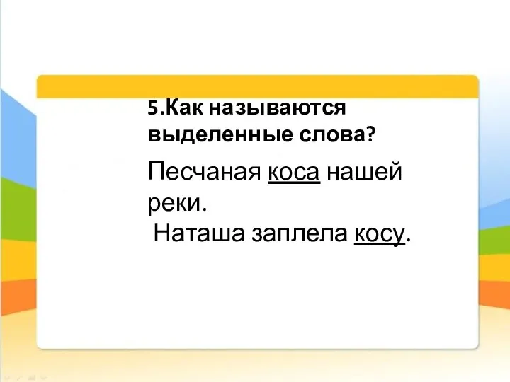 Песчаная коса нашей реки. Наташа заплела косу. 5.Как называются выделенные слова?