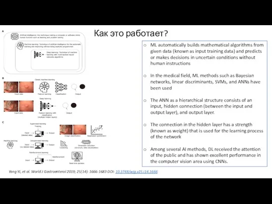 Как это работает? Yang YJ, et al. World J Gastroenterol 2019; 25(14):