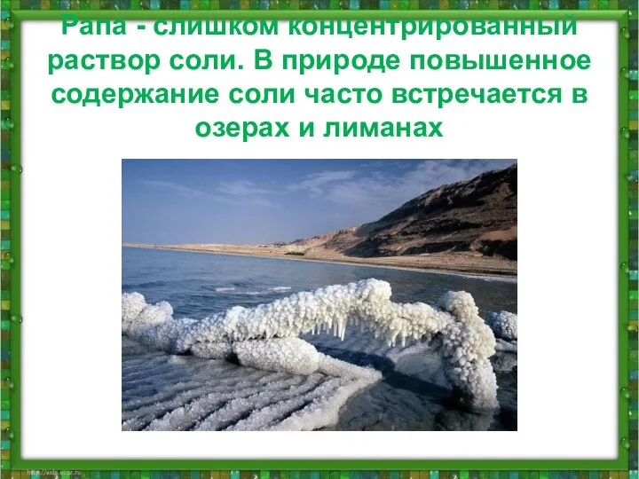 Рапа - слишком концентрированный раствор соли. В природе повышенное содержание соли часто