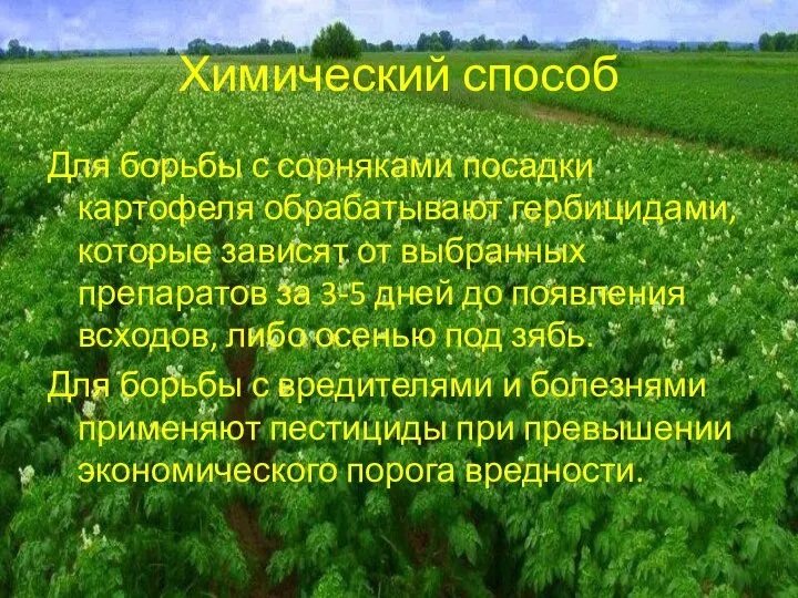 Химический способ Для борьбы с сорняками посадки картофеля обрабатывают гербицидами, которые зависят