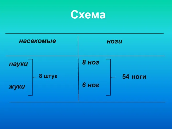 насекомые ноги пауки жуки 8 штук 8 ног 6 ног 54 ноги Схема