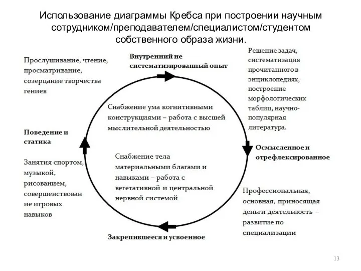 Использование диаграммы Кребса при построении научным сотрудником/преподавателем/специалистом/студентом собственного образа жизни.