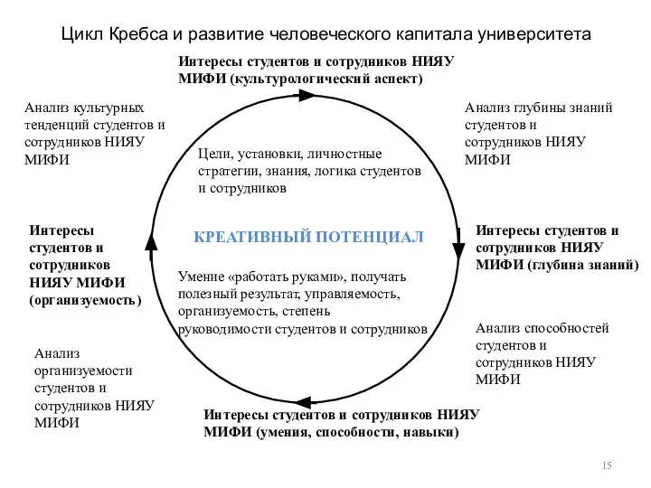 Цикл Кребса и развитие человеческого капитала университета КРЕАТИВНЫЙ ПОТЕНЦИАЛ