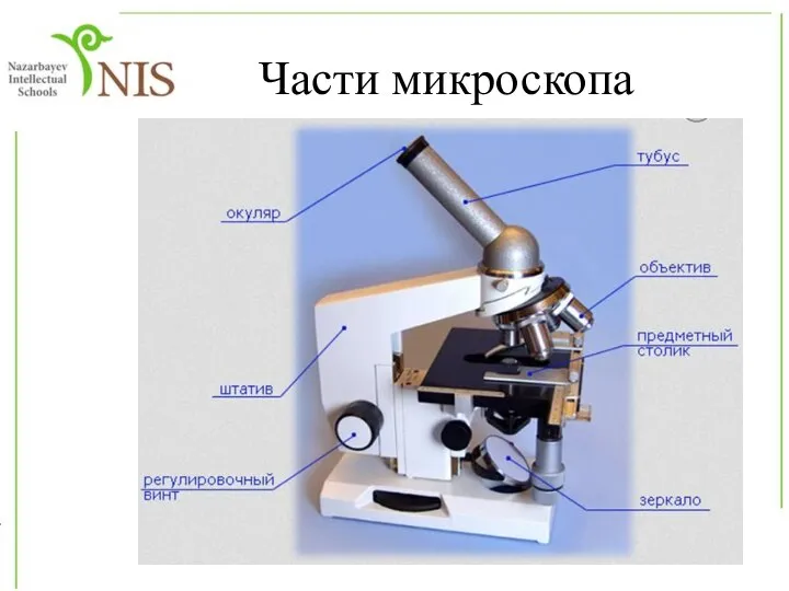 Части микроскопа