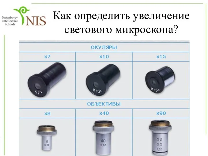 Как определить увеличение светового микроскопа?