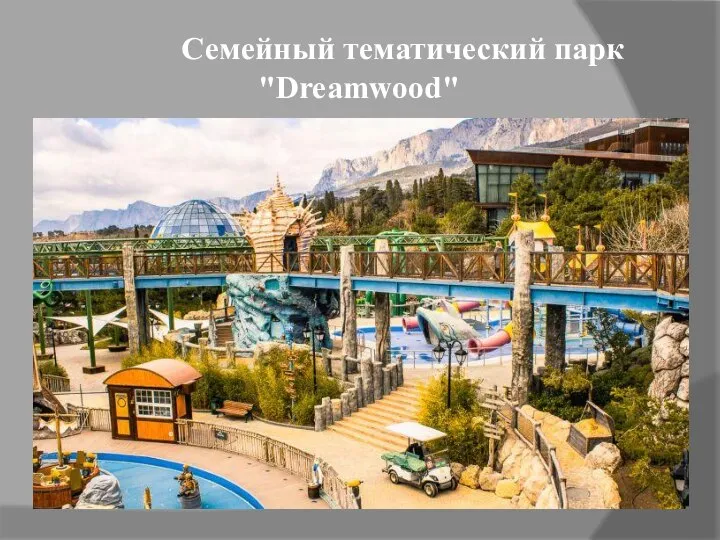 Семейный тематический парк "Dreamwood"