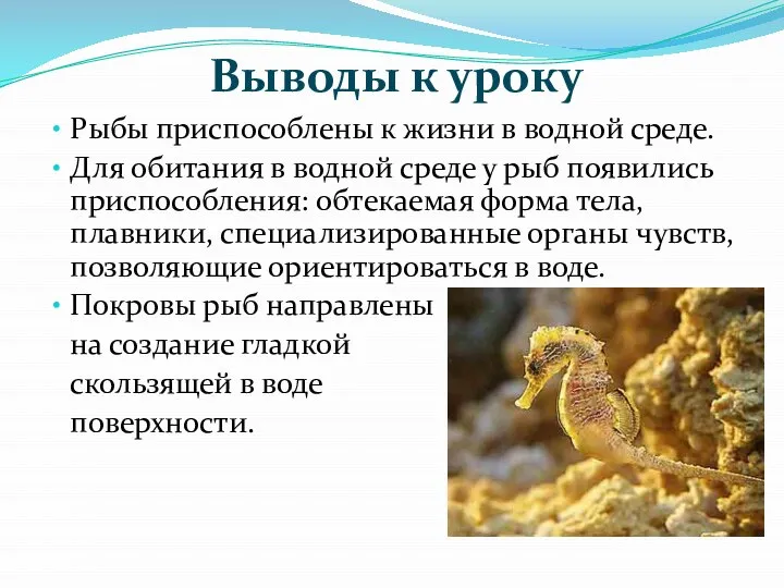 Выводы к уроку Рыбы приспособлены к жизни в водной среде. Для обитания