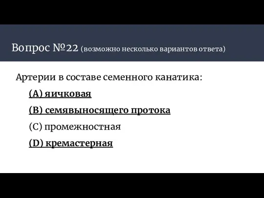 Вопрос №22 (возможно несколько вариантов ответа) Артерии в составе семенного канатика: (A)