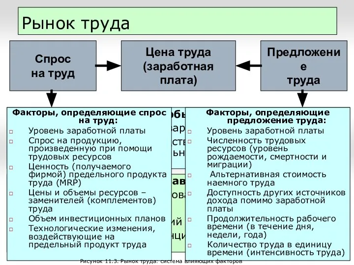 Рынок труда Факторы, придающие особый характер рынку труда: Труд – специфический товар