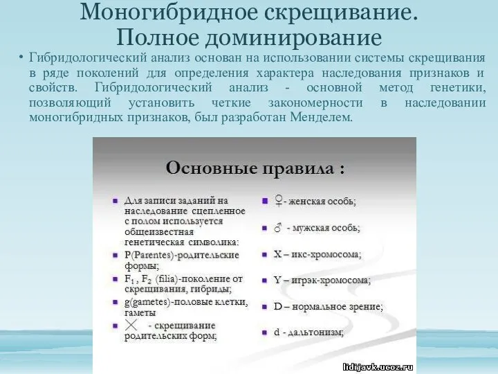 Моногибридное скрещивание. Полное доминирование Гибридологический анализ основан на использовании системы скрещивания в