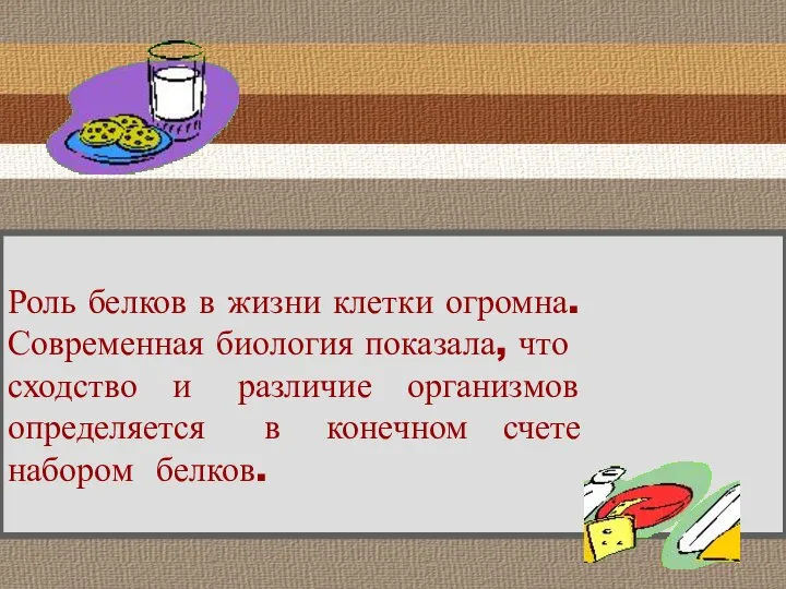 Роль белков в жизни клетки огромна. Современная биология показала, что сходство и