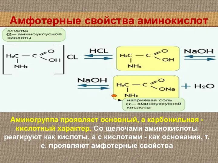 Амфотерные свойства аминокислот Аминоrpyппa проявляет основный, а карбонильная - кислотный характер. Со