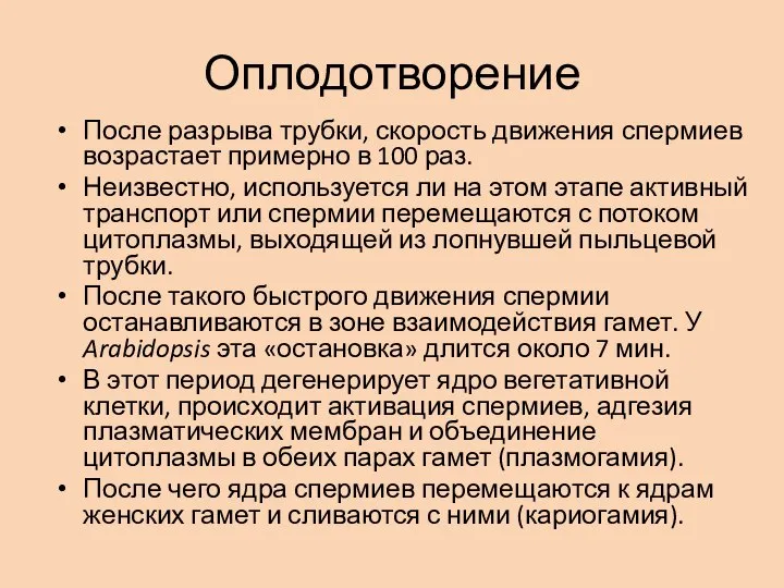 Оплодотворение После разрыва трубки, скорость движения спермиев возрастает примерно в 100 раз.