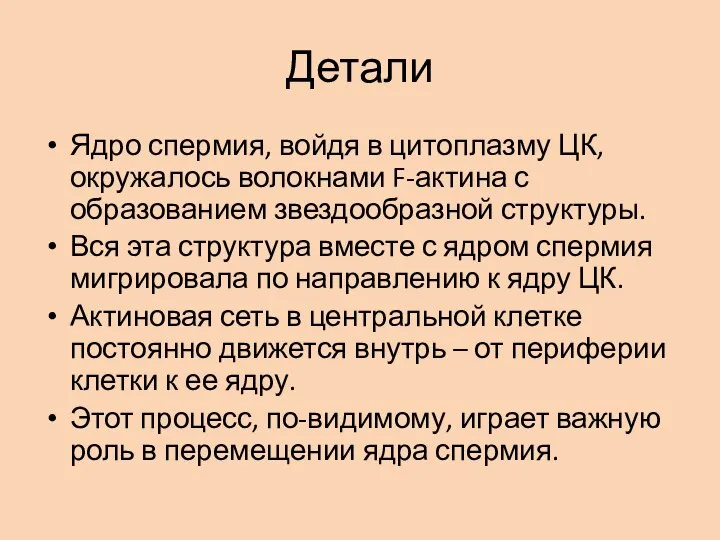 Детали Ядро спермия, войдя в цитоплазму ЦК, окружалось волокнами F-актина с образованием