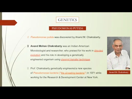 Pseudomonas putida was discovered by Anand M. Chakrabarty. Anand Mohan Chakrabarty was