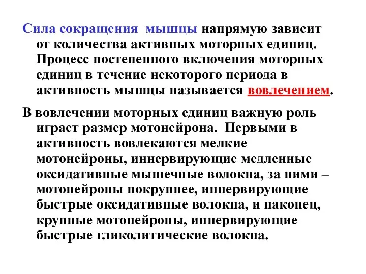 Сила сокращения мышцы напрямую зависит от количества активных моторных единиц. Процесс постепенного