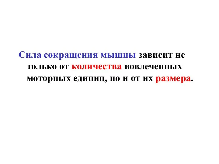 Сила сокращения мышцы зависит не только от количества вовлеченных моторных единиц, но и от их размера.