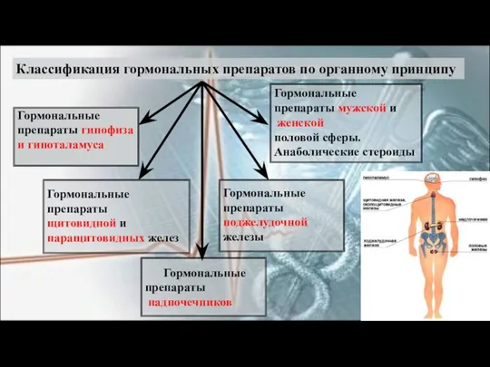 Гормональные препараты щитовидной и паращитовидных желез Гормональные препараты надпочечников Гормональные препараты поджелудочной