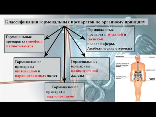 Гормональные препараты надпочечников Гормональные препараты поджелудочной железы Гормональные препараты мужской и женской