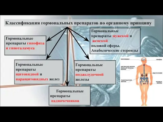 Гормональные препараты мужской и женской половой сферы. Анаболические стероиды Классификация гормональных препаратов