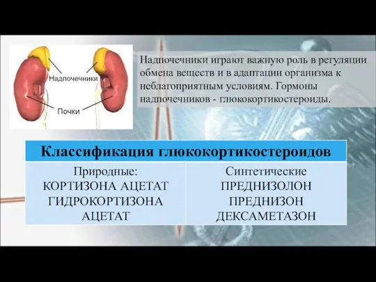 Надпочечники играют важную роль в регуляции обмена веществ и в адаптации организма