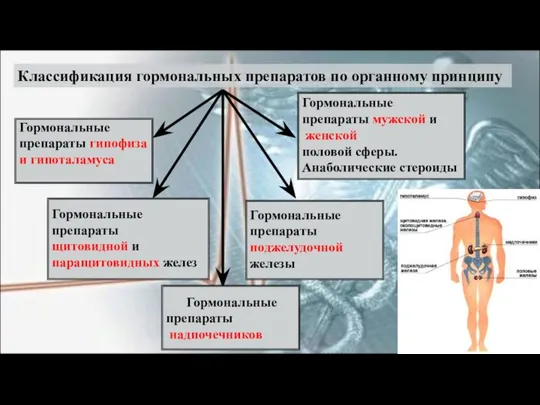 Классификация гормональных препаратов по органному принципу Гормональные препараты гипофиза и гипоталамуса Гормональные