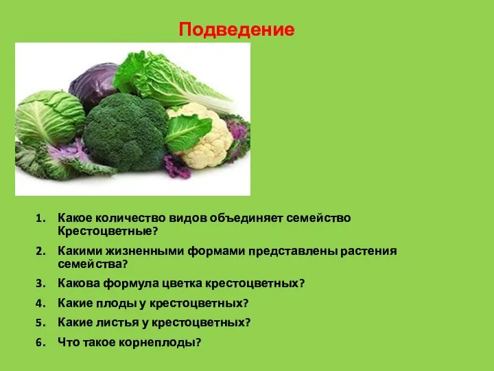 Какое количество видов объединяет семейство Крестоцветные? Какими жизненными формами представлены растения семейства?