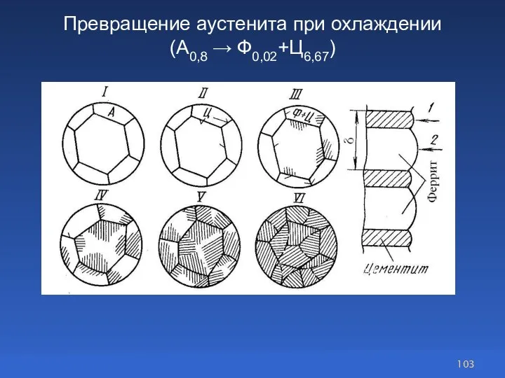 Превращение аустенита при охлаждении (А0,8 → Ф0,02+Ц6,67)