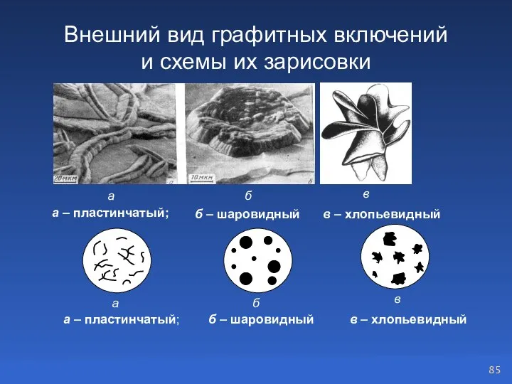 Внешний вид графитных включений и схемы их зарисовки а – пластинчатый; б