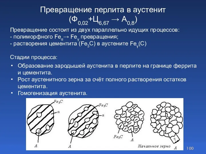 Превращение перлита в аустенит (Ф0,02+Ц6,67 → А0,8) Образование зародышей аустенита в перлите