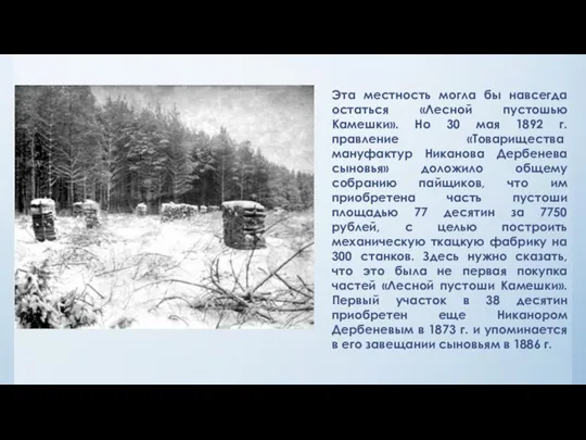 Эта местность могла бы навсегда остаться «Лесной пустошью Камешки». Но 30 мая