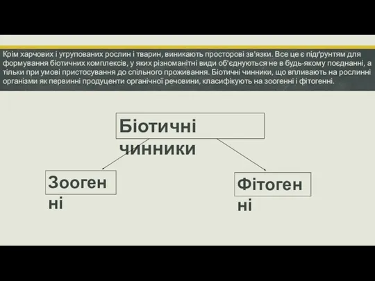 Крім харчових і угрупованих рослин і тварин, виникають просторові зв'язки. Все це