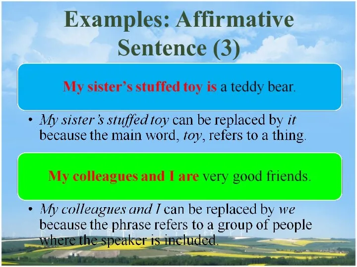 Examples: Affirmative Sentence (3)