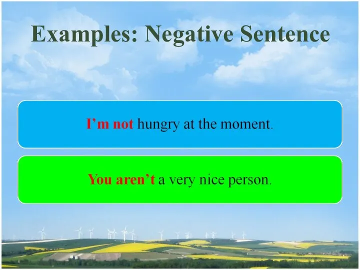 Examples: Negative Sentence