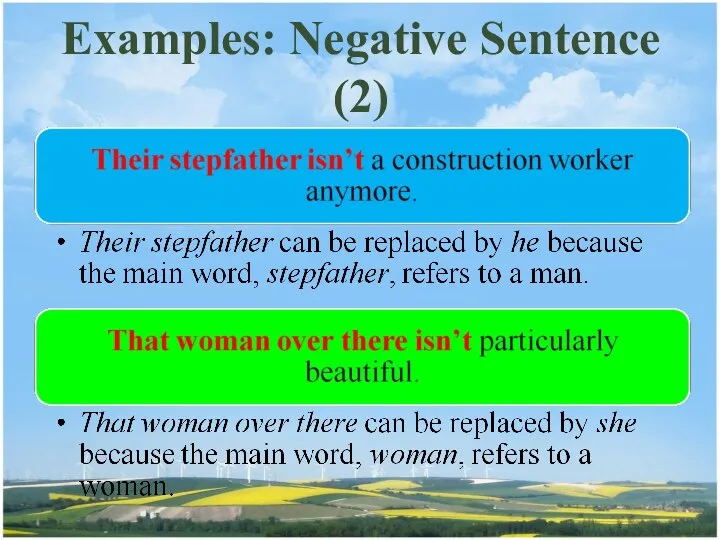Examples: Negative Sentence (2)