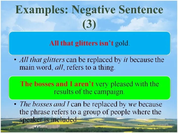 Examples: Negative Sentence (3)