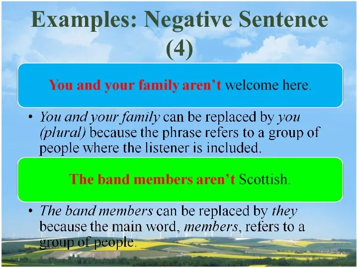 Examples: Negative Sentence (4)