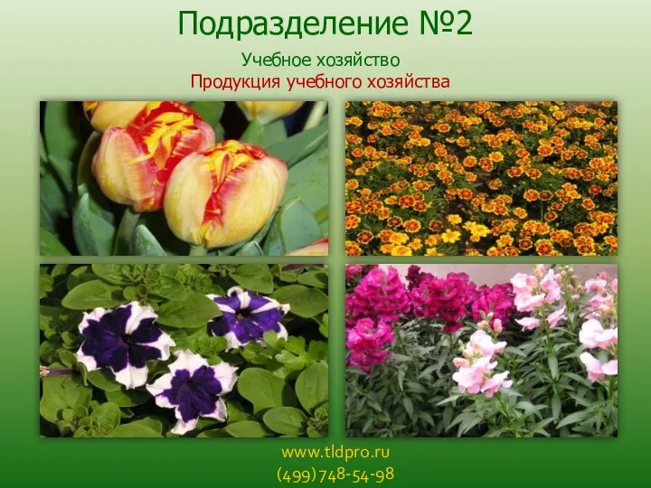 www.tldpro.ru (499) 748-54-98 Подразделение №2 Учебное хозяйство Продукция учебного хозяйства