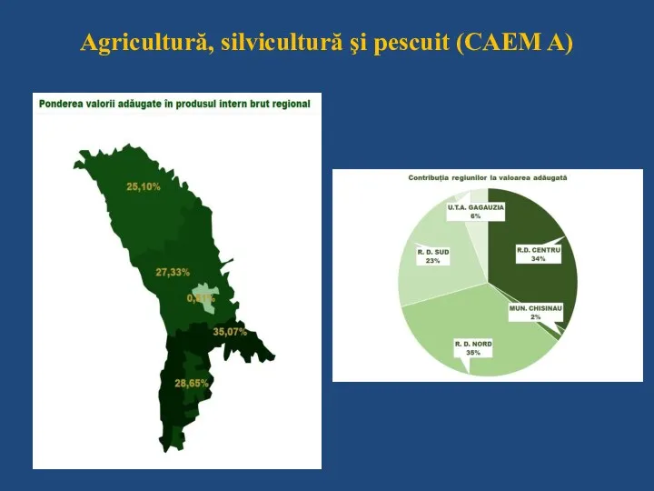 Agricultură, silvicultură şi pescuit (CAEM A)