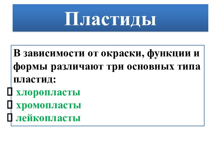 Пластиды В зависимости от окраски, функции и формы различают три основных типа пластид: хлоропласты хромопласты лейкопласты