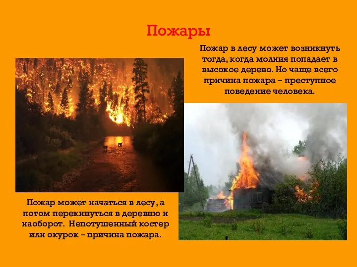 Пожары Пожар в лесу может возникнуть тогда, когда молния попадает в высокое