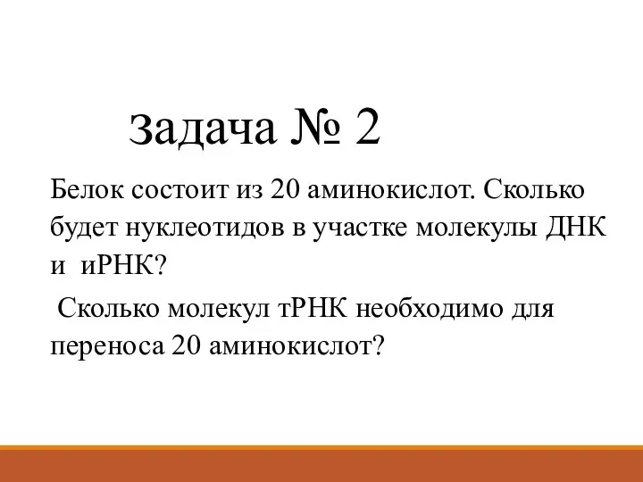 задача № 2 Белок состоит из 20 аминокислот. Сколько будет нуклеотидов в