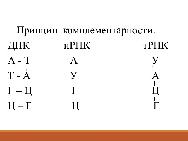 Принцип комплементарности. ДНК иРНК тРНК А - Т А У Т -