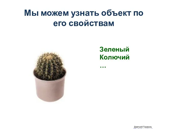 Мы можем узнать объект по его свойствам Дмитрий Тарасов, http://videouroki.net Зеленый Колючий …