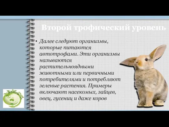 Второй трофический уровень Далее следуют организмы, которые питаются автотрофами. Эти организмы называются