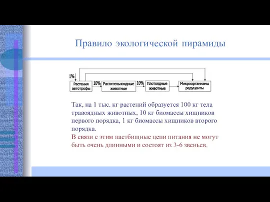 Так, на 1 тыс. кг растений образуется 100 кг тела травоядных животных,