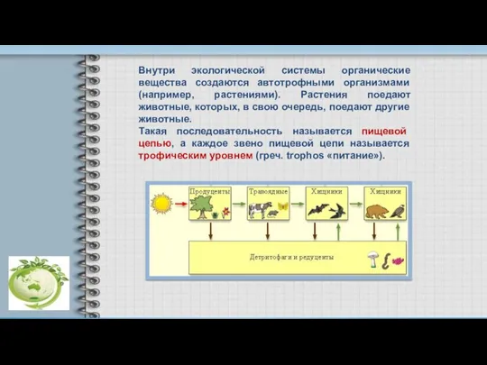 Внутри экологической системы органические вещества создаются автотрофными организмами (например, растениями). Растения поедают